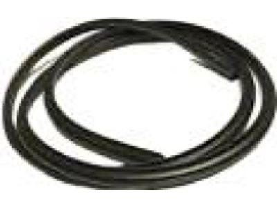 Toyota 62311-35040 Weatherstrip On Body