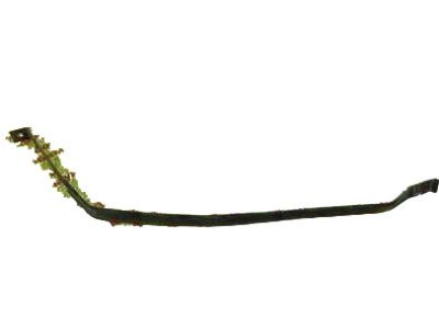 Toyota 77601-33010 Tank Mount Strap