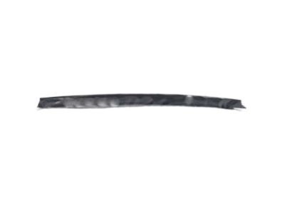 Toyota 68173-35040 Belt Weatherstrip