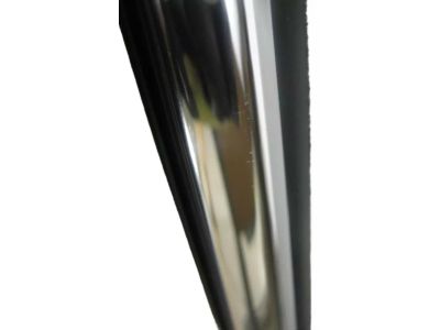 Toyota 75730-06110 Belt Molding