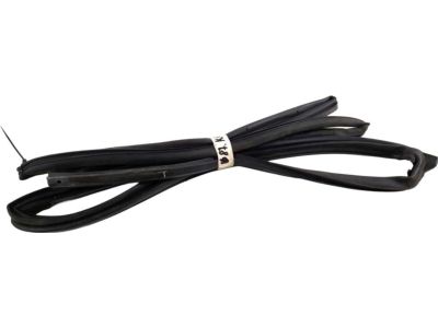 Toyota 67872-42020 Weatherstrip