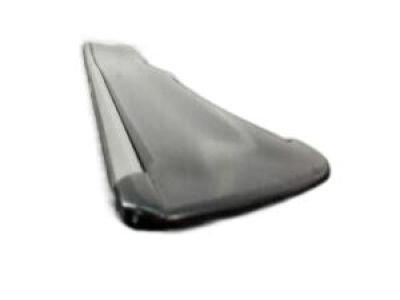 Toyota 75732-0C030-C0 Body Side Molding