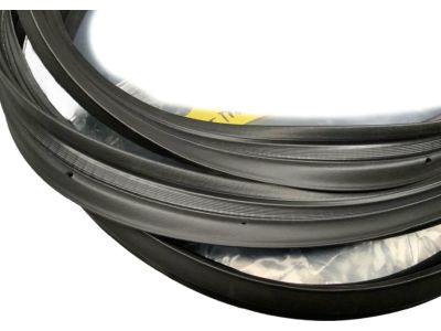 Toyota 64461-06220 Weatherstrip