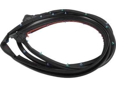 Toyota 67861-04052 Door Weatherstrip