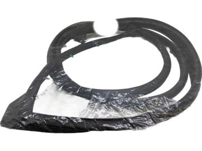 Toyota 67872-12590 Door Weatherstrip