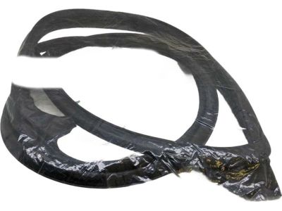 Toyota 67872-12590 Door Weatherstrip