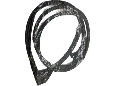 Toyota 67872-12590 Door Weatherstrip