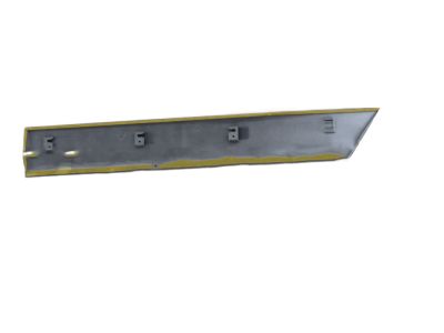 Toyota 75741-60160-H2 Body Side Molding