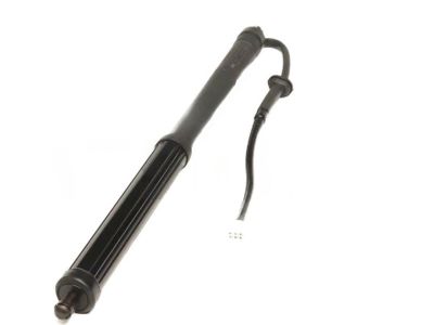 Toyota 68920-42020 Lift Cylinder