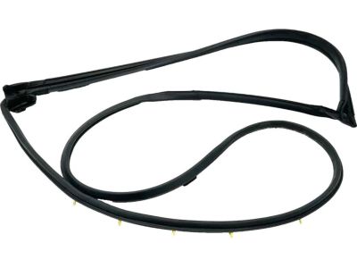 Toyota 67871-08040 Door Weatherstrip