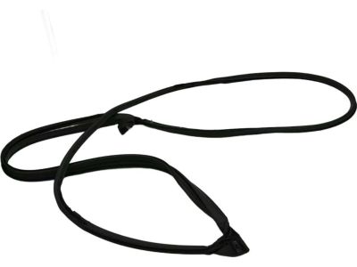 Toyota 67871-08040 Door Weatherstrip