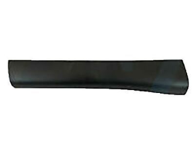 Toyota 52113-35140 Side Molding