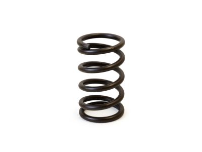 Toyota 90501-34016 Valve Springs