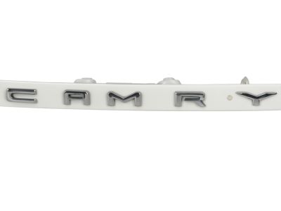 Toyota 76801-06E10-A0 License Molding