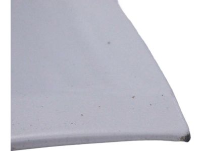 Toyota 53301-60510 Hood