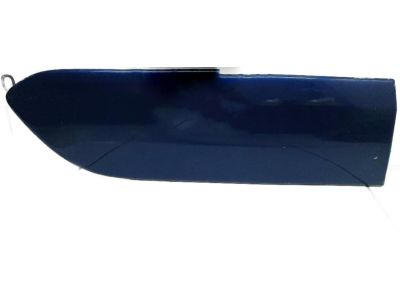 Toyota 75741-42070-C0 Body Side Molding