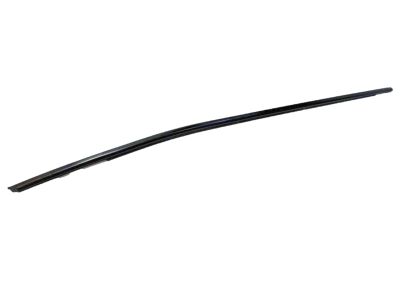 Toyota 75710-06291 Belt Molding