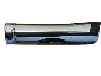 Toyota 75076-60120-C0 Body Side Molding