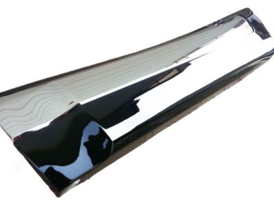 Toyota 75076-60120-C0 Body Side Molding