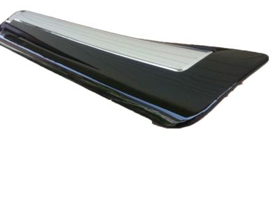 Toyota 75076-60120-C0 Body Side Molding
