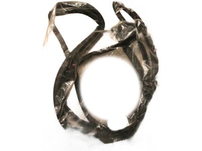 Toyota 67862-0D121 Door Weatherstrip