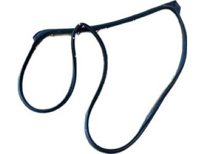 Toyota 67872-0D091 Door Weatherstrip