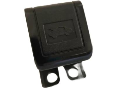 Toyota 53601-AA010-C0 Release Handle