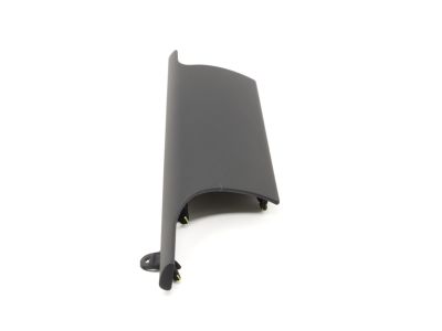 Toyota 55012-04010-C0 Center Molding