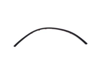 Toyota 75571-52030 Side Molding