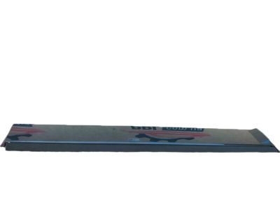 Toyota 75078-42050-C0 Lower Molding