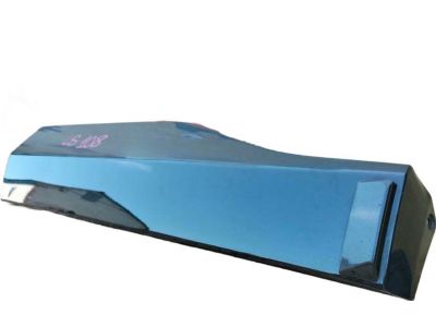 Toyota 75078-42050-C0 Lower Molding