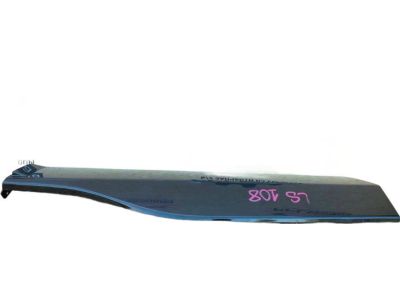 Toyota 75078-42050-C0 Lower Molding