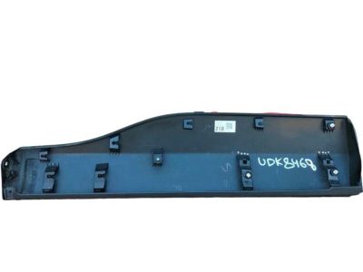 Toyota 75078-42050-C0 Lower Molding
