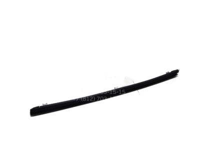 Toyota 68174-06020 Belt Weatherstrip