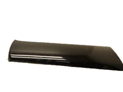 Toyota 75731-35130-A0 Lower Cladding