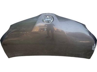 Toyota 53301-08040 Hood