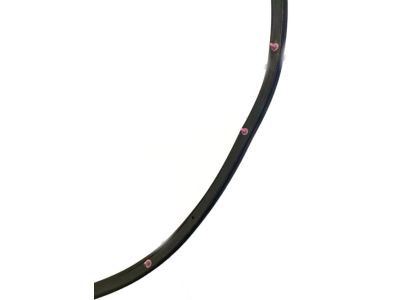 Toyota 67862-0R010 Door Weatherstrip