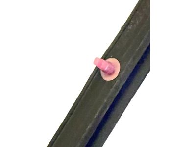 Toyota 67862-0R010 Door Weatherstrip