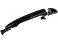 OEM 2008 Toyota Tacoma Handle, Outside - 69211-AE020-C1