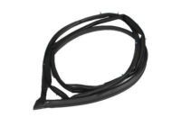 OEM 1991 Toyota Supra Weatherstrip, Back Door - 67881-14110