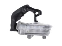 OEM Daytime Run Lamp - 81430-0E020