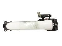 OEM Scion xB Handle, Outside - 69211-12220-A0