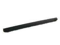 OEM Scion xB Belt Weatherstrip - 68174-12190