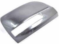 OEM Toyota Land Cruiser Mirror Cover - 87915-60050-B1