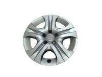 OEM 2013 Toyota RAV4 Wheel Cover - 42602-0R020