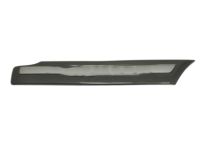 OEM 2005 Toyota Land Cruiser Body Side Molding - 75651-60180-D0