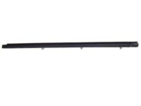 OEM 2001 Toyota RAV4 Belt Weatherstrip - 75712-42030