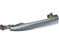 OEM 2004 Toyota Sienna Handle, Outside - 69211-AE020-J1