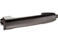 OEM 2005 Toyota Corolla Handle, Outside - 69211-AA020-C1