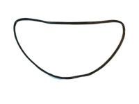 OEM Toyota Door Weatherstrip - 62311-04020